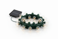 Lumivana Garden™ • 10m / 15 ampoules